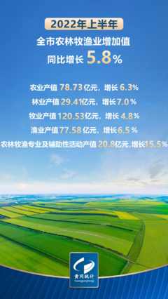 同比增長(zhǎng)4.9%,2022年上半年黃岡經(jīng)濟(jì)運(yùn)行情況發(fā)布!